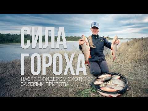 ЯЗИ на фидер! Рыбалка мечты на реке Припять. Лещ и язи на горох! ЯЗИ на фидер! Рыбалка мечты на реке Припять. Лещ и язи на горох!