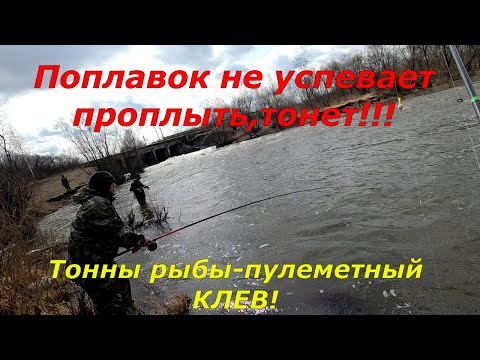 Рыбалка на Реке - Вода прет! / ТОННЫ Рыбы, КЛЮЕТ Каждый заброс! Рыбалка на Реке - Вода прет! / ТОННЫ Рыбы, КЛЮЕТ Каждый заброс!
