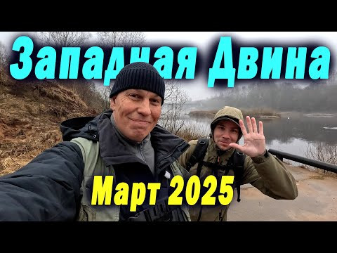 Западная Двина и Усвяча, всё стабильно. Рыбалка в марте 2025