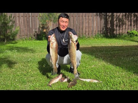 ЛОВИМ СУДАКА НА РЫБИНСКОМ.