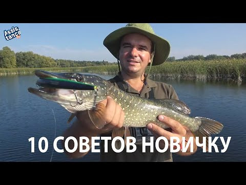 Десятка основных советов новичку по хищной рыбе на спининг