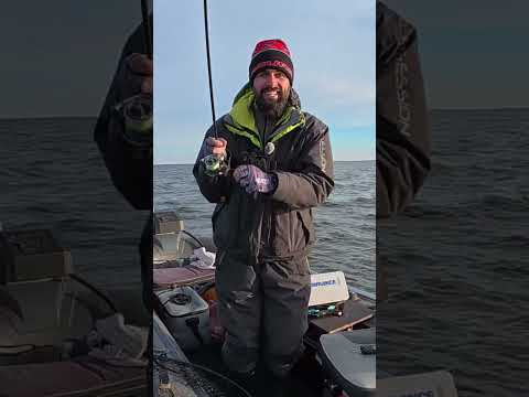 Цей колір творить ДИВА #fishing #рибалка #спінінг Цей колір творить ДИВА #fishing #рибалка #спінінг