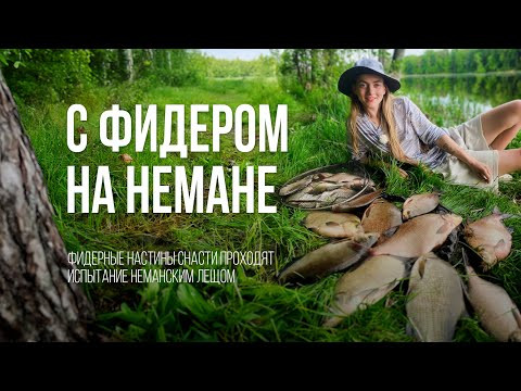ЛЕЩ клюет! Фидерная РЫБАЛКА на реке НЕМАН в Беларуси. Настины Снасти #2 ЛЕЩ клюет! Фидерная РЫБАЛКА на реке НЕМАН в Беларуси. Настины Снасти #2