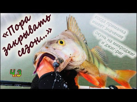 Пора закрывать сезон... Ч.3 | Когда приманка имеет значение, окунь на микроджиг и джиг-риг
