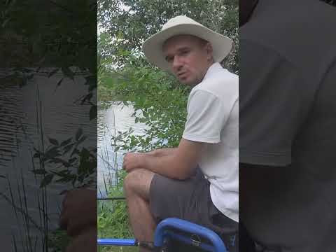 НЕ КЛЮЕТ? РАЗРУЛИВАЕМ #fishing #assistancetv #рыбалка #фидер #рыбалкаудалась #напоплавок #лещ НЕ КЛЮЕТ? РАЗРУЛИВАЕМ #fishing #assistancetv #рыбалка #фидер #рыбалкаудалась #напоплавок #лещ