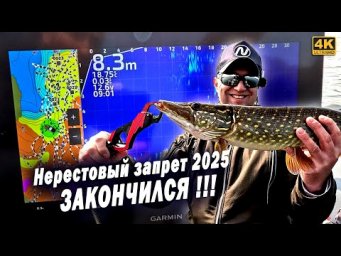 Начало трофейных рыбалок. Нерестовый запрет 2025 закончился