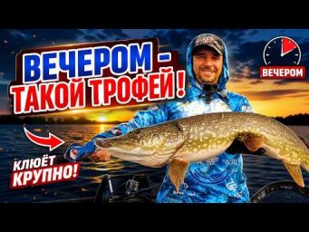 ЦЕЛЫЙ ДЕНЬ ТИШИНА... А ВЕЧЕРОМ - ТАКОЙ ТРОФЕЙ! МАМКА НА НЫТЬЁ