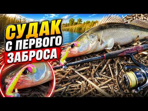 СУДАК С ПЕРВОГО ЗАБРОСА И ЗЛЫЕ ПОКЛЕВКИ ЩУКИ! СПИННИНГ НА РЕКЕ СОК
