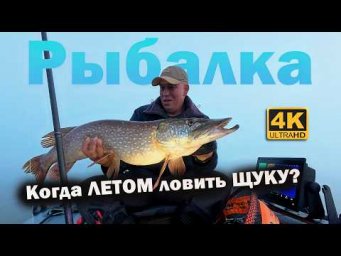 Когда клюёт ЩУКА ЛЕТОМ. Летняя РЫБАЛКА на ЩУКУ