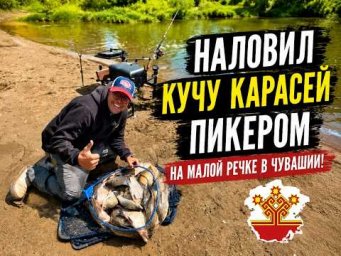Наловил кучу карасей пикером на малой речке в Чувашии.