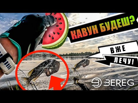 ШАЛЕНИЙ КАВУН: Хижак у Захваті - Рибалка на спінінг влітку ШАЛЕНИЙ КАВУН: Хижак у Захваті - Рибалка на спінінг влітку