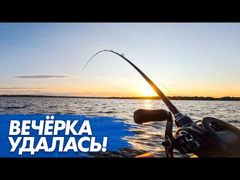 ВЕЧЕРНИЙ ВЫХОД НА РЫБАЛКЕ. НОВЫЙ РЕЦЕПТ СУДАКА. ПАРА ФИШЕК ОТ ПРОФЕССИОНАЛЬНОГО РЫБОЛОВНОГО ГИДА