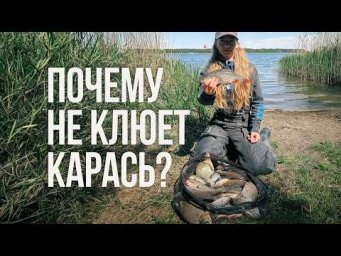 ПОЧЕМУ КАРАСЬ НЕ КЛЮЕТ? Рыбалка с фидером на Солигорском водохранилище