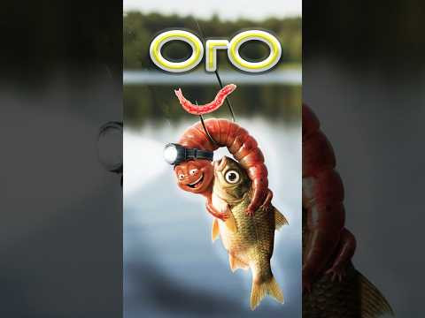 ОГО ноябрь?   #рыбалка #fishing  #рыбалканафидер #assistancetv #лещ #холоднаявода #стрим #спінінг