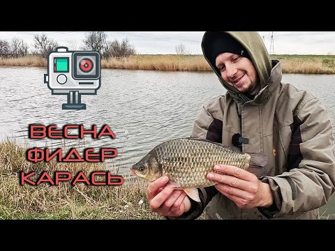 У плотвы были свои планы, но трофейного карася ВЗЯЛ!