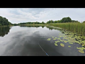 РЫБАЛКА, КОТОРУЮ ЖДАЛИ, НА ПОППЕР И БЛЕСНУ! Ловля щуки и окуня на лесном озере.