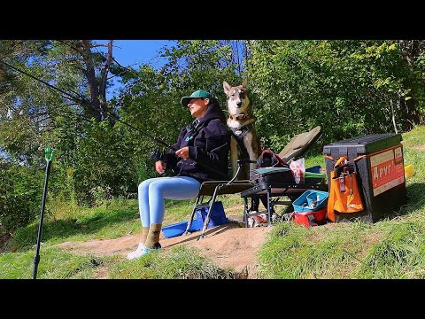 ФИДЕР НА ДОМАШНЕМ ВОДОЁМЕ. Рыбалка на реке Птичь осенью #535