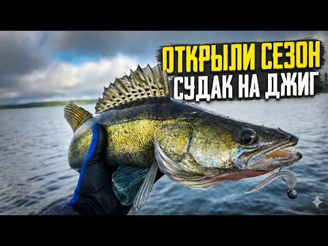 ОТКРЫЛИ СЕЗОН. СУДАК НА ДЖИГ. РЫБАЛКА НА СПИННИНГ ОТКРЫЛИ СЕЗОН. СУДАК НА ДЖИГ. РЫБАЛКА НА СПИННИНГ