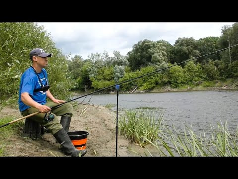 Було Важко, але Наловив. Фідер на Десні
