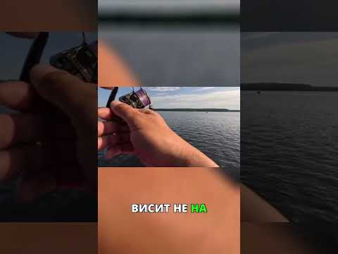 Щука крокодил 7 кг #fishing Щука крокодил 7 кг #fishing