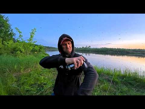 Ловля Хижака на Десні: Вечірній Вихід та Шалені Комарі