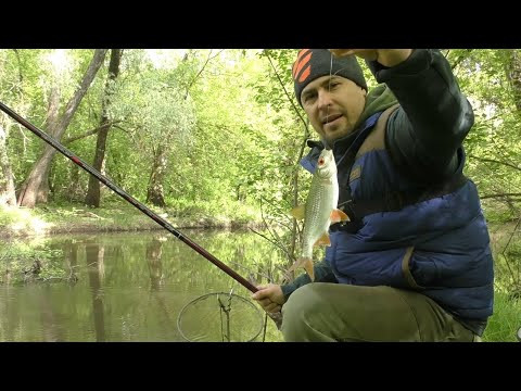 Риболовля на Вудочку. Найпростіша і Уловиста Снасть