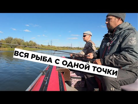ДЕСЯТЬ ЩУК С ОДНОЙ ТОЧКИ!!! ВОЛОСЯКА - ПРИМАНКА, КОТОРАЯ СПАСЛА РЫБАЛКУ ДЕСЯТЬ ЩУК С ОДНОЙ ТОЧКИ!!! ВОЛОСЯКА - ПРИМАНКА, КОТОРАЯ СПАСЛА РЫБАЛКУ