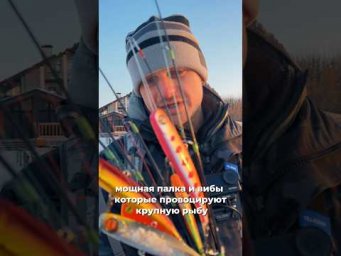 Только мощные снасти! 