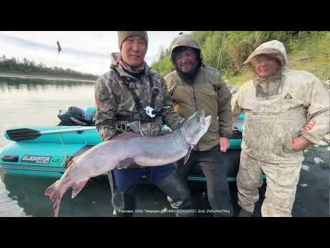 ПОЛУЧИЛ НОВУЮ ТЕХНИКУ GLADIATOR 40 ВОДОМЁТ