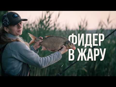 Ночная рыбалка в жару на озере Белое: лещ, судак на мотыля и неожиданный финал Ночная рыбалка в жару на озере Белое: лещ, судак на мотыля и неожиданный финал