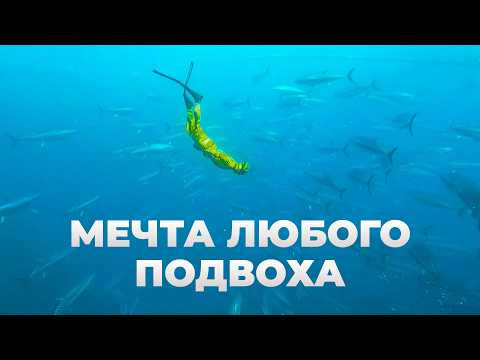 Мы уже решили уезжать, но гид показал нам это СЕКРЕТНОЕ место! Голубая бездна в Турции Мы уже решили уезжать, но гид показал нам это СЕКРЕТНОЕ место! Голубая бездна в Турции