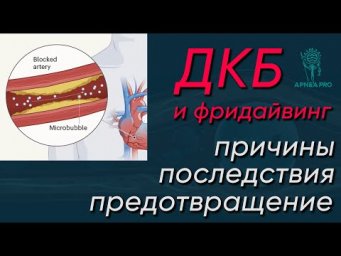 Декомпрессионная болезнь во фридайвинге. Причины, последствия, предотвращение.