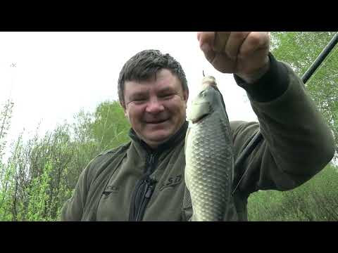 Сначала клевал карась, а потом пришли эти монстры. Сначала клевал карась, а потом пришли эти монстры.