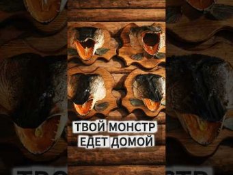 ЩУКА, которая осталась С ТОБОЙ 