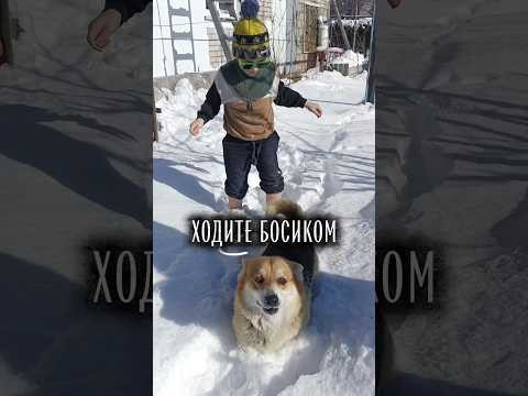 И стар и млад - здоровья будет рад! Ходите босиком дышите носом а не ртом! #босиком #босоногийбег И стар и млад - здоровья будет рад! Ходите босиком дышите носом а не ртом! #босиком #босоногийбег