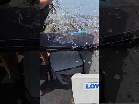 ВОЛНА НАКРИЛА ЛОДКУ #shorts #Рибалка #судак ВОЛНА НАКРИЛА ЛОДКУ #shorts #Рибалка #судак