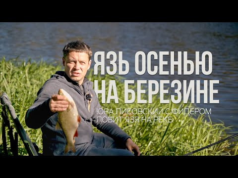 Осенняя рыбалка на Березине 