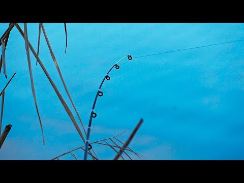 Весенний карасик просыпается! Ловля карася на фидер! Весенний карасик просыпается! Ловля карася на фидер!