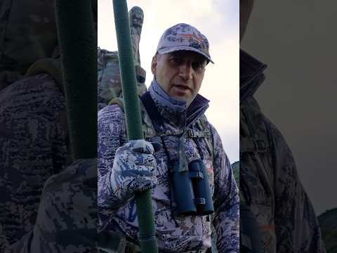 Охота на Камчатке за 60 секунд