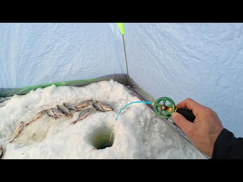 КЛЮНУЛ РЕАЛЬНЫЙ КРУПНЯК! СНАСТИ НЕ ВЫДЕРЖИВАЮТ! Зимняя рыбалка на удочку с мормышкой. КЛЮНУЛ РЕАЛЬНЫЙ КРУПНЯК! СНАСТИ НЕ ВЫДЕРЖИВАЮТ! Зимняя рыбалка на удочку с мормышкой.