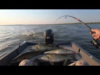 ПОЛНАЯ ЛОДКА РЫБЫ! ВОТ ЭТО ПОПАЛ! ОТ ПЕРВОГО ЛИЦА РЫБАЛКА КАК ЕСТЬ