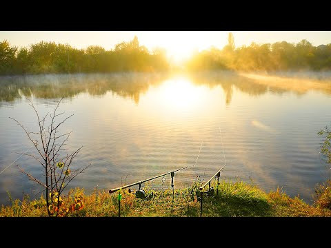 Вода КИПИТЬ ВІД РИБИ! Оце клює!