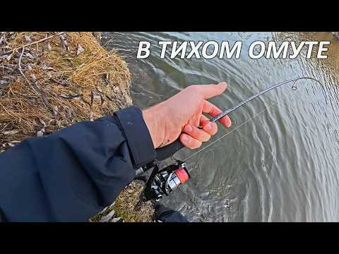 Непомерная рыба ЗАГИБАЕТ ультралайт. Микроджиг удивляет! Осенняя проводка. Рыбалка на спиннинг