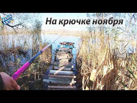 Поплавок в холодной воде качнулся и мир для тебя замкнулся. Поплавок в холодной воде качнулся и мир для тебя замкнулся.