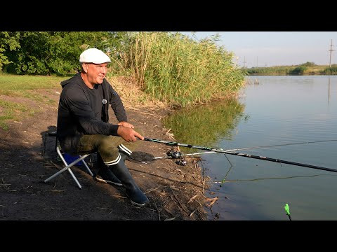 Ловлю Карася на Бабусини Пиріжки