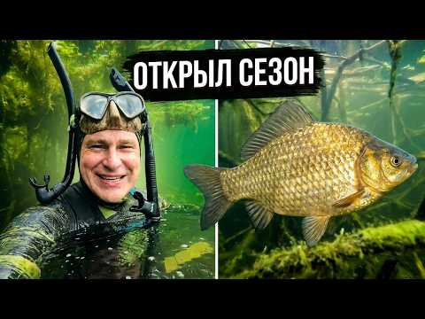 Начало сезона 2026