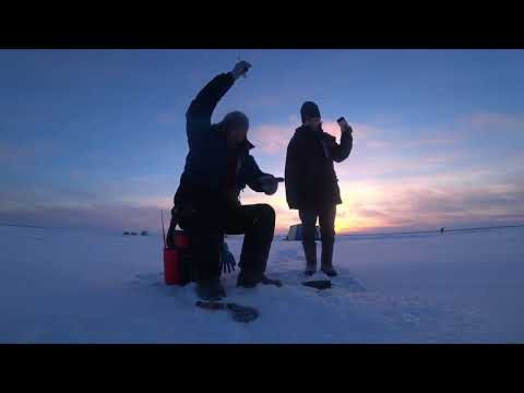 Плотва клюёт на блесну. Окуни кони, сиги отрывают мормышки и т.д. Плотва клюёт на блесну. Окуни кони, сиги отрывают мормышки и т.д.
