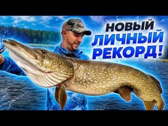 Щука чуть не отобрала спиннинг! НОВЫЙ ЛИЧНЫЙ РЕКОРД &mdash; 6,5 кг