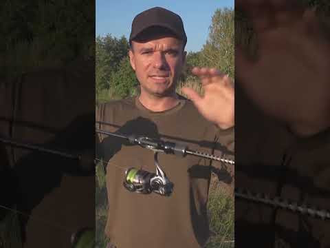Теория верна #рыбалка #assistancetv #рыбалканаспининг #fishing #carpfishing #ультралайт # спининг Теория верна #рыбалка #assistancetv #рыбалканаспининг #fishing #carpfishing #ультралайт # спининг