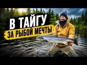 АРХАНГЕЛЬСКАЯ ТАЙГА И ЕЕ ТРОФЕИ.  РЫБАЛКА НА ТАЕЖНОЙ РЕКЕ МЕГРА. СЕМГА КУМЖА ХАРИУС ЩУКА ОКУНЬ.